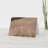 Carte Grass et Fleurs sauvages violets (Devant)