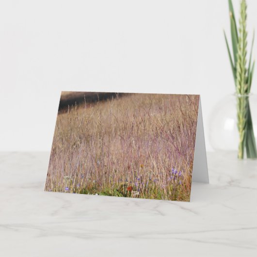 Carte Grass et Fleurs sauvages violets (Devant)
