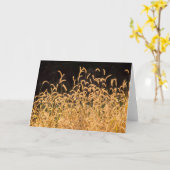 Carte Grasses d'automne (Fleur jaune)