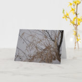 Carte grasses de Snow (Fleur jaune)