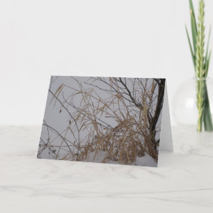 Carte grasses de Snow