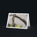 Carte Grasshopper égyptien à l'arbre<br><div class="desc">Un sautereau égyptien dans une carte de voeux arborée. Vous pouvez facilement customiser ce produit gratuitement si vous souhaitez ajouter du libellé ou changer la couleur du arrière - plan.</div>