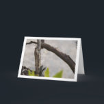 Carte Grasshopper égyptien à l'arbre<br><div class="desc">Un sautereau égyptien dans une carte de voeux arborée. Vous pouvez facilement customiser ce produit gratuitement si vous souhaitez ajouter du libellé ou changer la couleur du arrière - plan.</div>