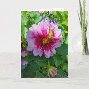 Carte Grasshopper sur Dahlia Flower