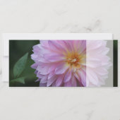 Carte Grattis Önskar fouille tous les lycka idag CC0767 (Dos)