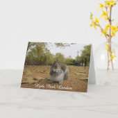 Carte Gray Squirrel Hyde Park Londres. (Fleur jaune)