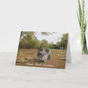 Carte Gray Squirrel Hyde Park Londres.