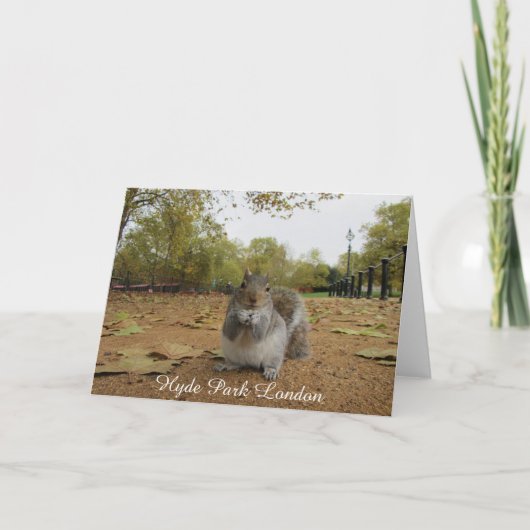 Carte Gray Squirrel Hyde Park Londres. (Devant)