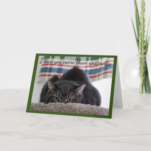 Carte Gray Tabby Cat Loves You (Devant)