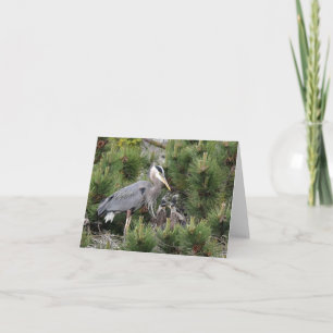 Carte Great Blue Heron et ses bébés