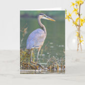 Carte Great Blue Heron Nature Faune Anniversaire (Fleur jaune)