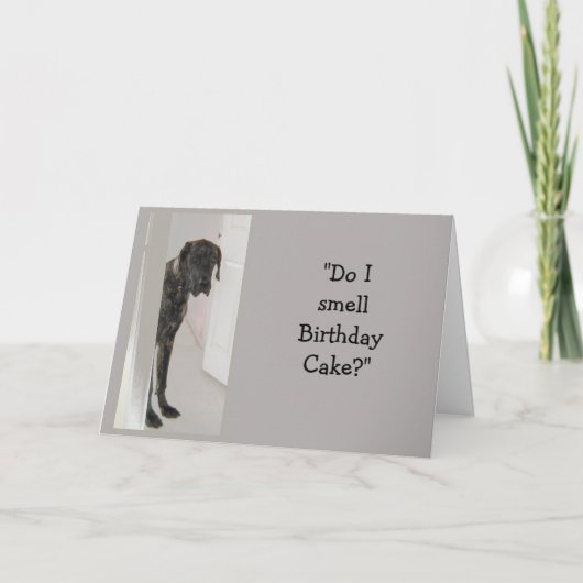 Carte Great Dane Dog Humor SON Birthday Cake Fun (Devant)