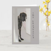 Carte Great Dane Pet Chien Humour Félicitations Grad (Fleur jaune)