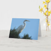 Carte Great Egret dans la Floride ensoleillée (Fleur jaune)