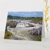 Carte Great Falls (Fleur jaune)