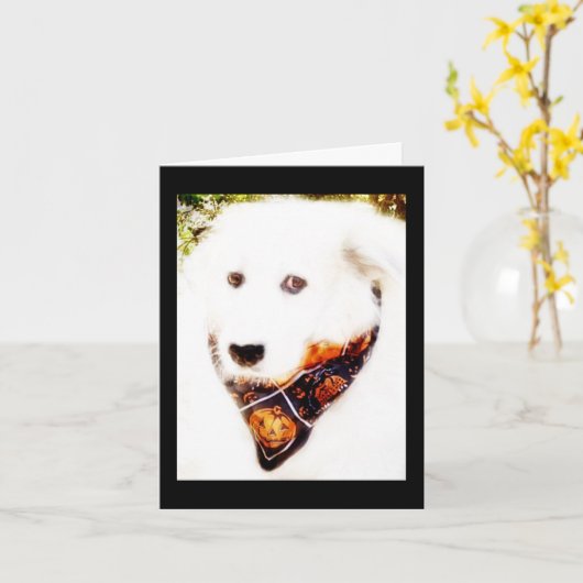 Carte Great Pyr Halloween (Fleur jaune)