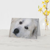 Carte Great Pyrenees (Fleur jaune)