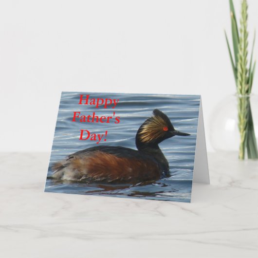 Carte Grèbe à oreilles (Devant)