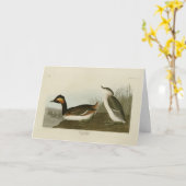 Carte Grebe d'Amérique (Grèbe à cou noir) - Audubon (Fleur jaune)