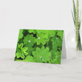 Carte Green Dewdrops (Devant)
