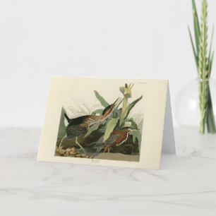 Carte Green Heron, les oiseaux d'Amérique de John James