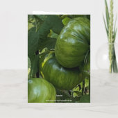 CARTE GREEN TOMATO VEGETABLE GARDEN BIRTHDAY CARD (Dos)