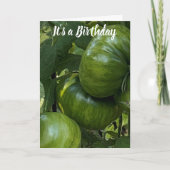 CARTE GREEN TOMATO VEGETABLE GARDEN BIRTHDAY CARD (Devant)