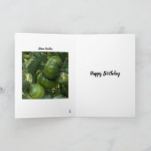 CARTE GREEN TOMATO VEGETABLE GARDEN BIRTHDAY CARD (Intérieur)