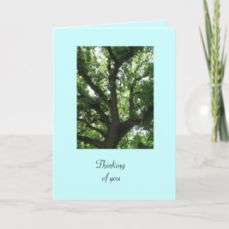 Carte Green Tree Get Well Card