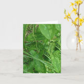 Carte Greenbriar (Smilax) (Fleur jaune)