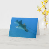 Carte Greeting Card avec Ocean Eagle Rays Maui (Fleur jaune)