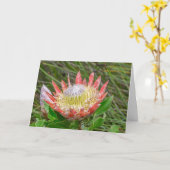 Carte Greeting Card - Beautiful Protea (Fleur jaune)