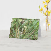 Carte Greeting Card Grasshopper Camouflage (Fleur jaune)