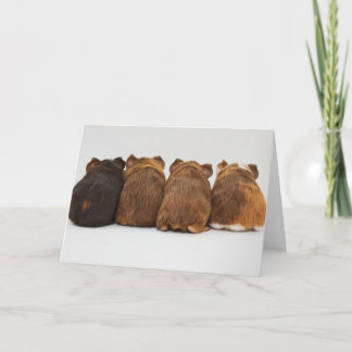 Carte Greeting Card - Guinea Pig Butts