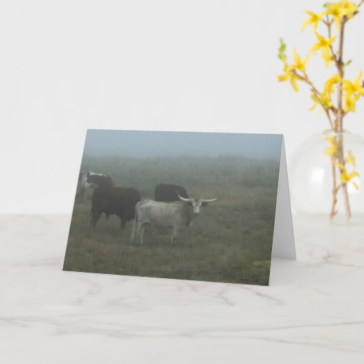 Carte Greeting Card "Longhorns in the Fog" (blank inside (Fleur jaune)
