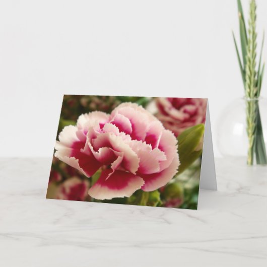 Carte Greeting Cards (Devant)