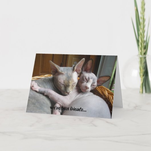 Carte Greeting Cards for Lovers (Devant)