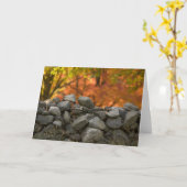 CARTE GREETING CARDS STONE (Fleur jaune)