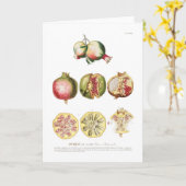 Carte Grenade (Fleur jaune)