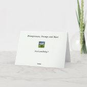 Carte Grenade, orange et menthe (Dos)