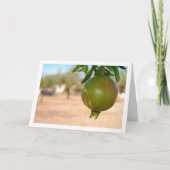 Carte Grenade suspendue à l'arbre (Devant)