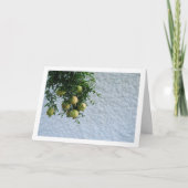 Carte Grenades sur un arbre, portrait de mur blanc (Devant)