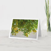 Carte Grenades suspendues à l'arbre (Devant)