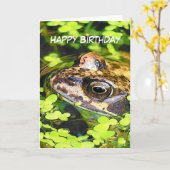 CARTE GRENOUILLE (Fleur jaune)