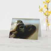 Carte Grenouille (Fleur jaune)