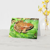 Carte Grenouille à jambes rouge du nord (Fleur jaune)