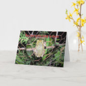 Carte Grenouille-coup dedans là (Fleur jaune)