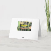 Carte Grenouille d'anniversaire (Dos)