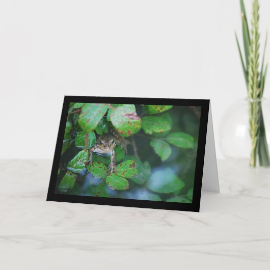 Carte Grenouille dans un étang feuillu (Devant)