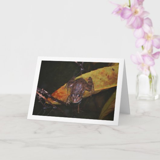 Carte Grenouille en portrait d'étang (Orchidée)
